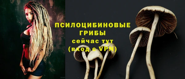 спайс Нязепетровск
