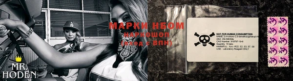 амф Новодвинск