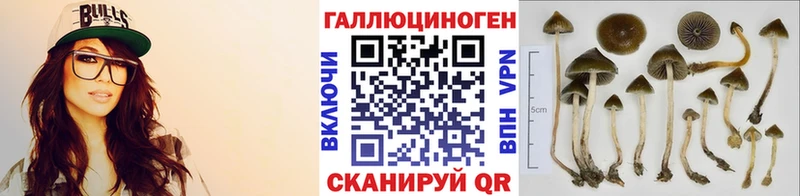 Псилоцибиновые грибы Cubensis  цена наркотик  Ленск 